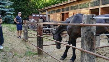 Cascina Fruedan Scuderie e Maneggio